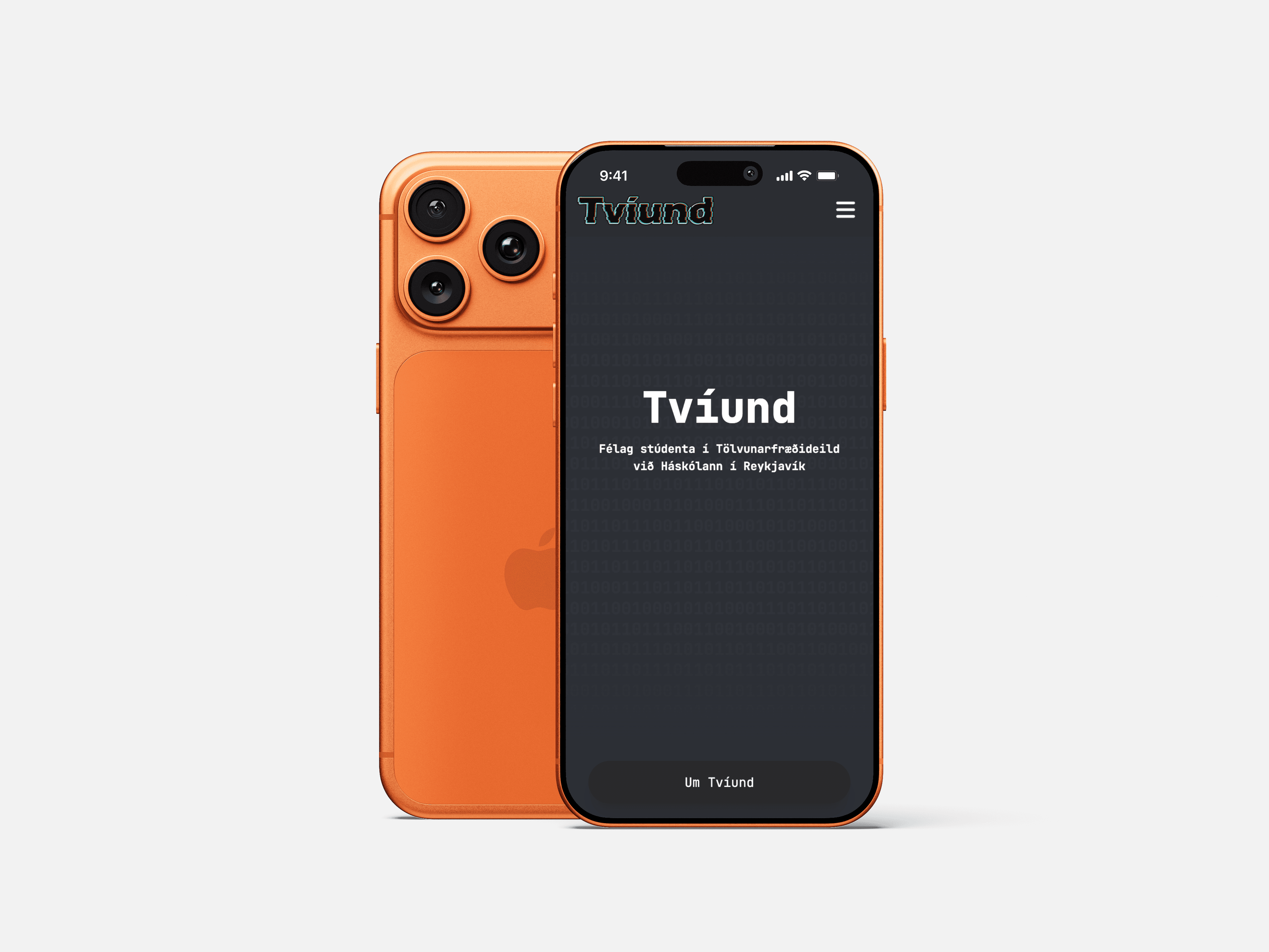 Tvíund vefsíða yfirlit