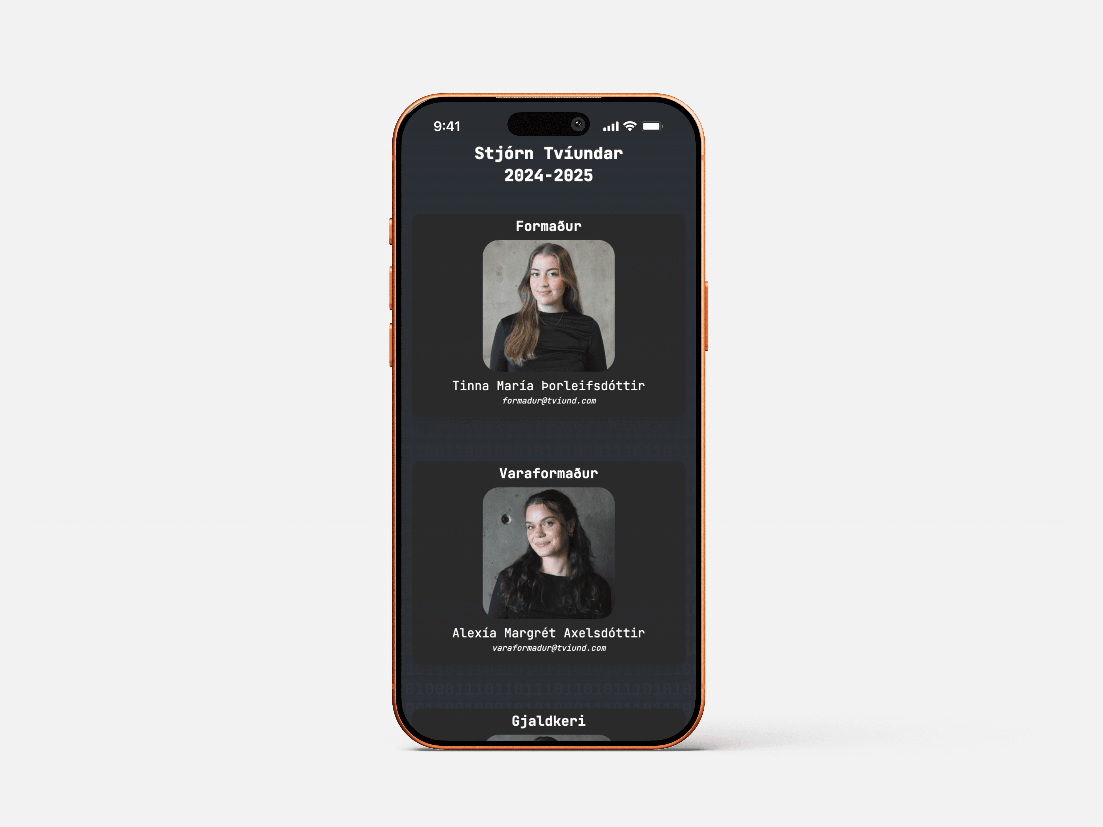 Tvíund vefsíða yfirlit