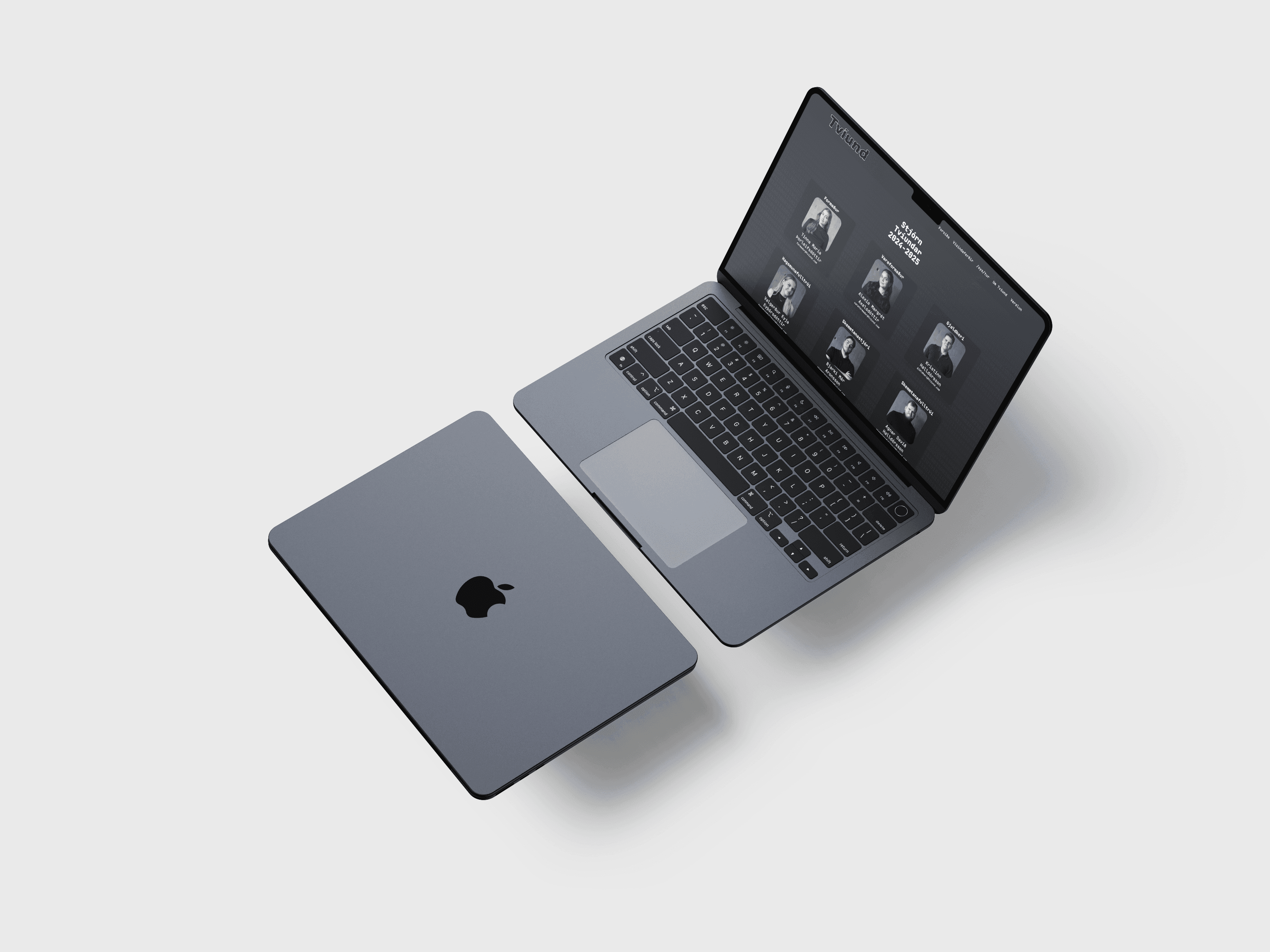 Tvíund vefsíða yfirlit