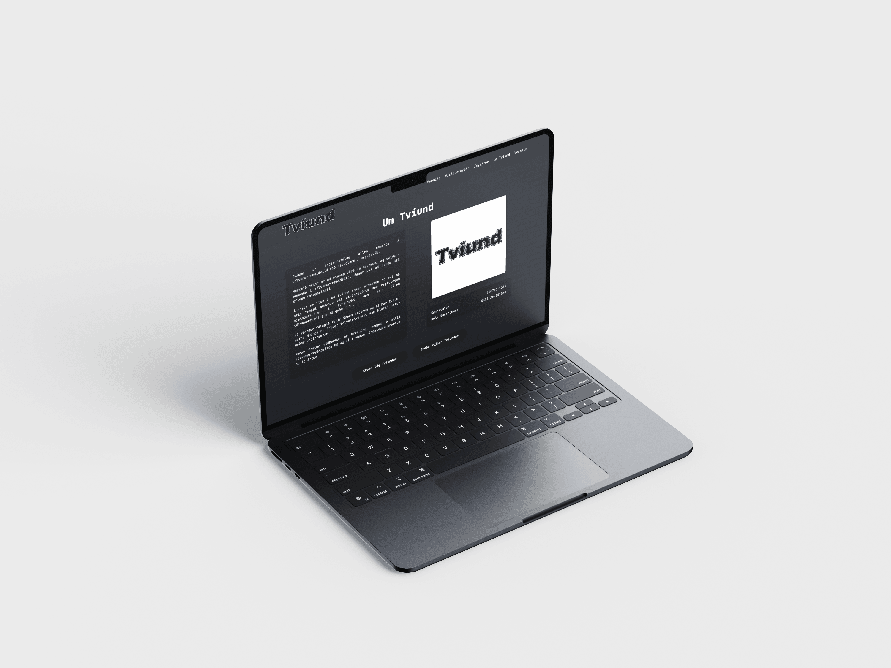 Tvíund vefsíða yfirlit