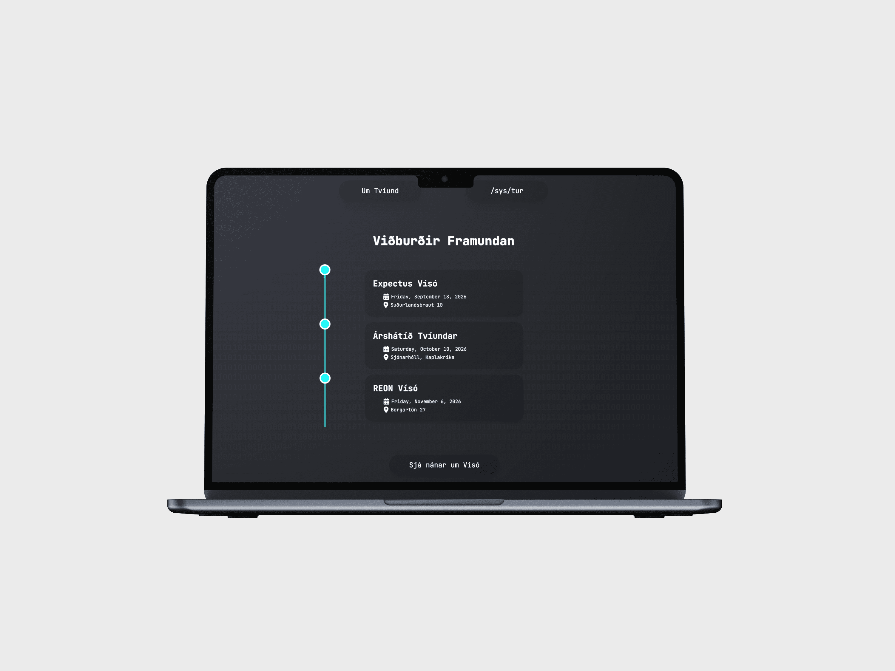 Tvíund vefsíða yfirlit