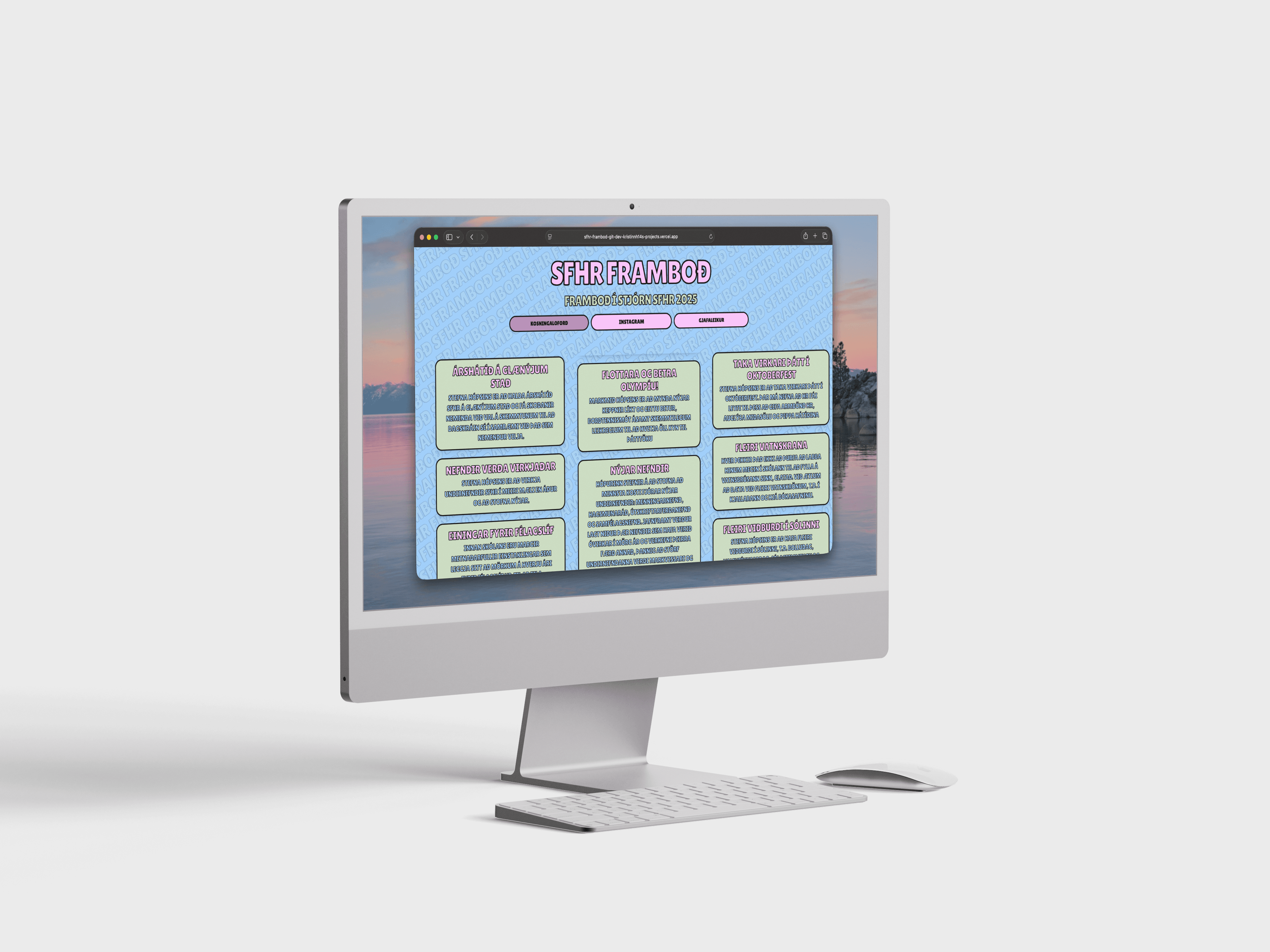 SFHR Framboð mynd 3